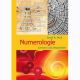 Numerologie - Lernen & Anwenden
